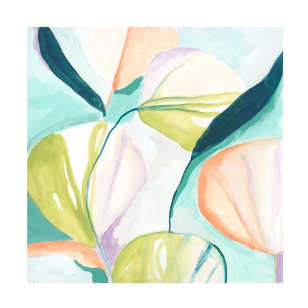 June Erica Vess 'Fan Flowers IV' Canvas Art, 35x35